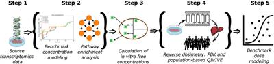 A novel method to derive a human safety limit for PFOA by gene expression profiling and modelling